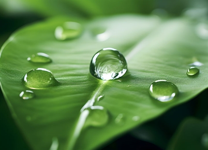 The energy of humidification